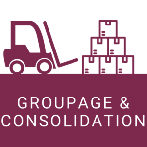 Icon for the Groupage and Consolidation Centres course