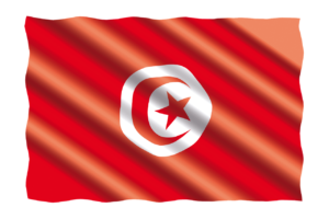 Flag of Tunis